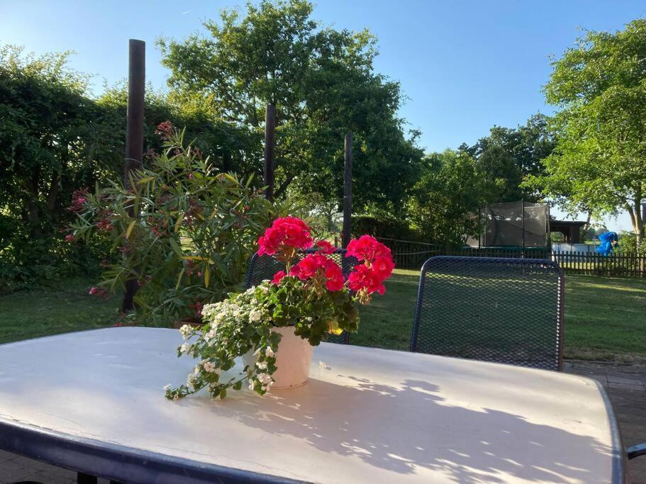 Helle Wohnung Mit Wintergarten - Nahe Ruhrgebiet Und Freizeitpark Movie Park Bottrop Ngoại thất bức ảnh