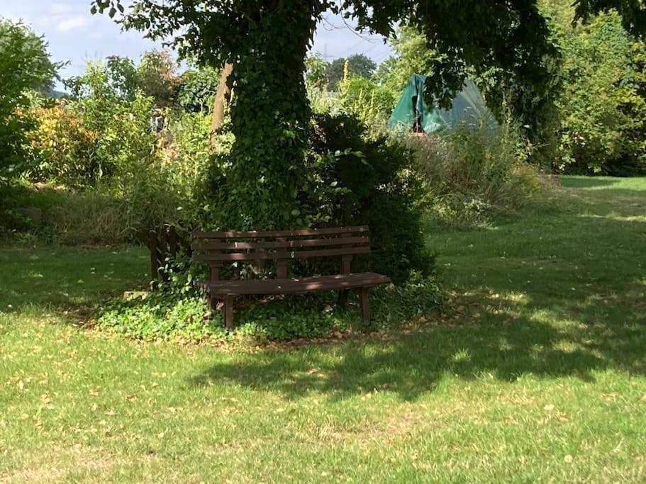 Helle Wohnung Mit Wintergarten - Nahe Ruhrgebiet Und Freizeitpark Movie Park Bottrop Ngoại thất bức ảnh